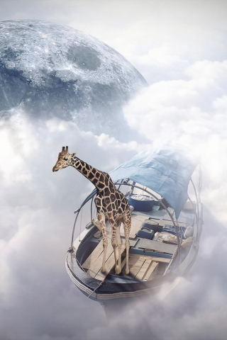 Das Giraffe Traveler Wallpaper 320x480
