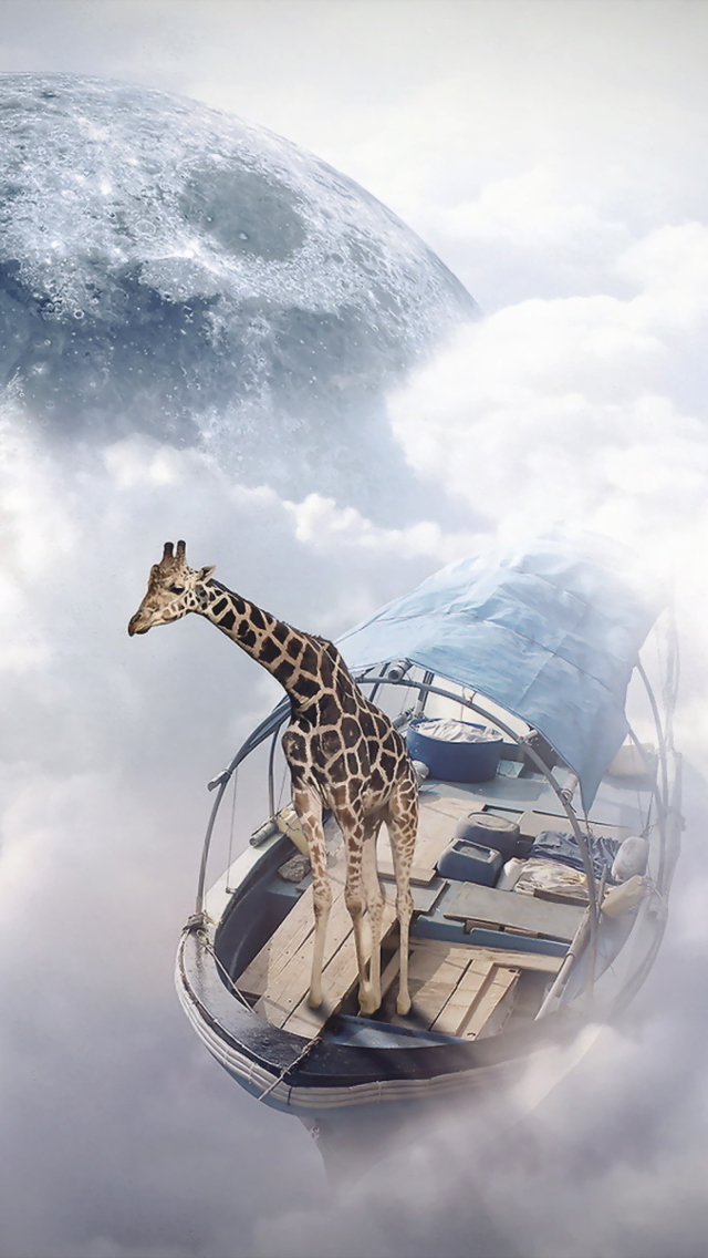 Giraffe Traveler wallpaper 640x1136