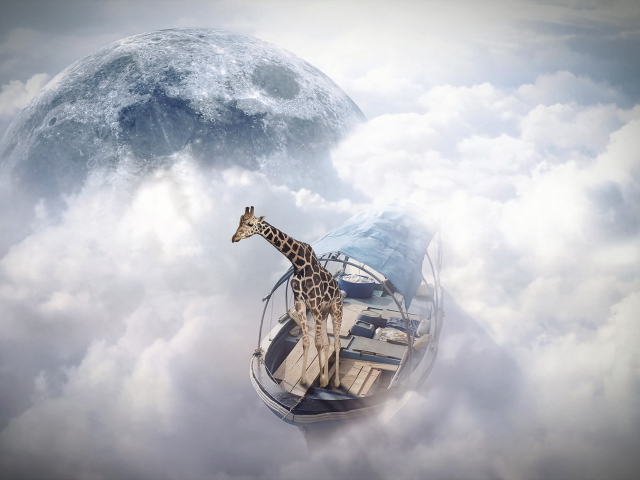 Giraffe Traveler screenshot #1 640x480