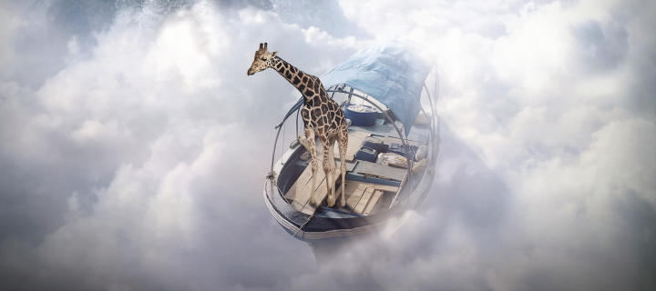 Das Giraffe Traveler Wallpaper 720x320