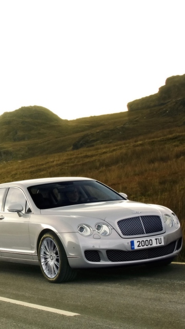 Bentley Continental Flying Spur screenshot #1 360x640