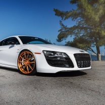 Audi R8 wallpaper 208x208