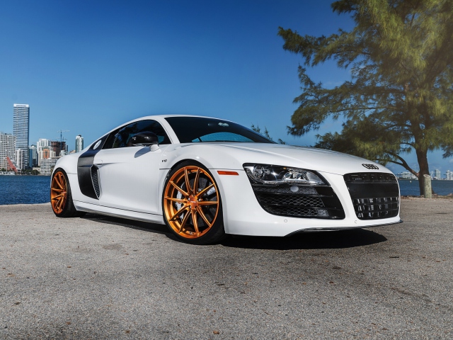 Audi R8 screenshot #1 640x480