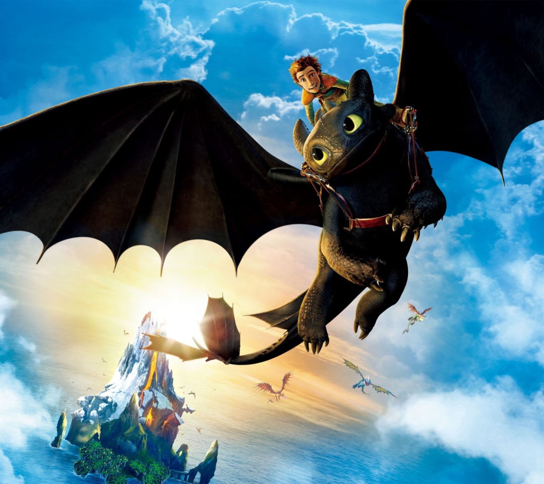 Das Hiccup Riding Toothless Wallpaper 1080x960