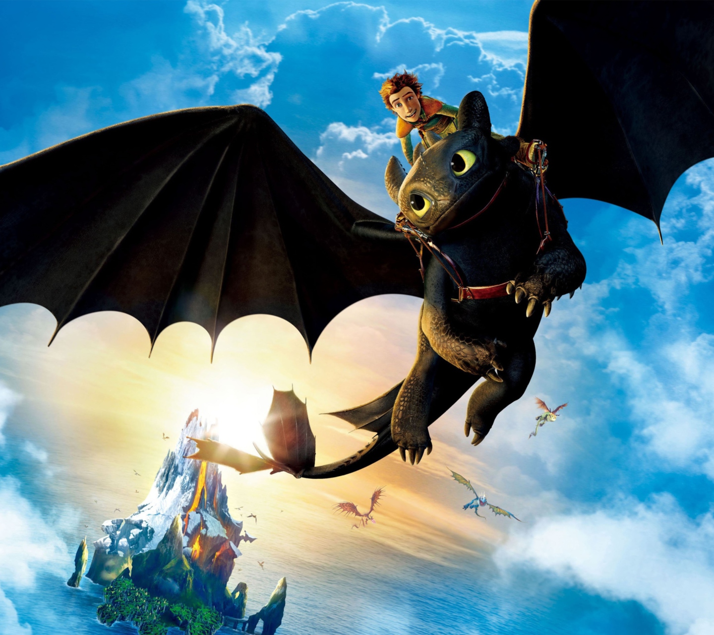 Das Hiccup Riding Toothless Wallpaper 1440x1280