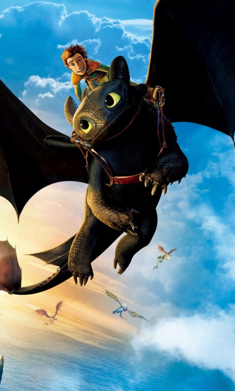Das Hiccup Riding Toothless Wallpaper 480x800