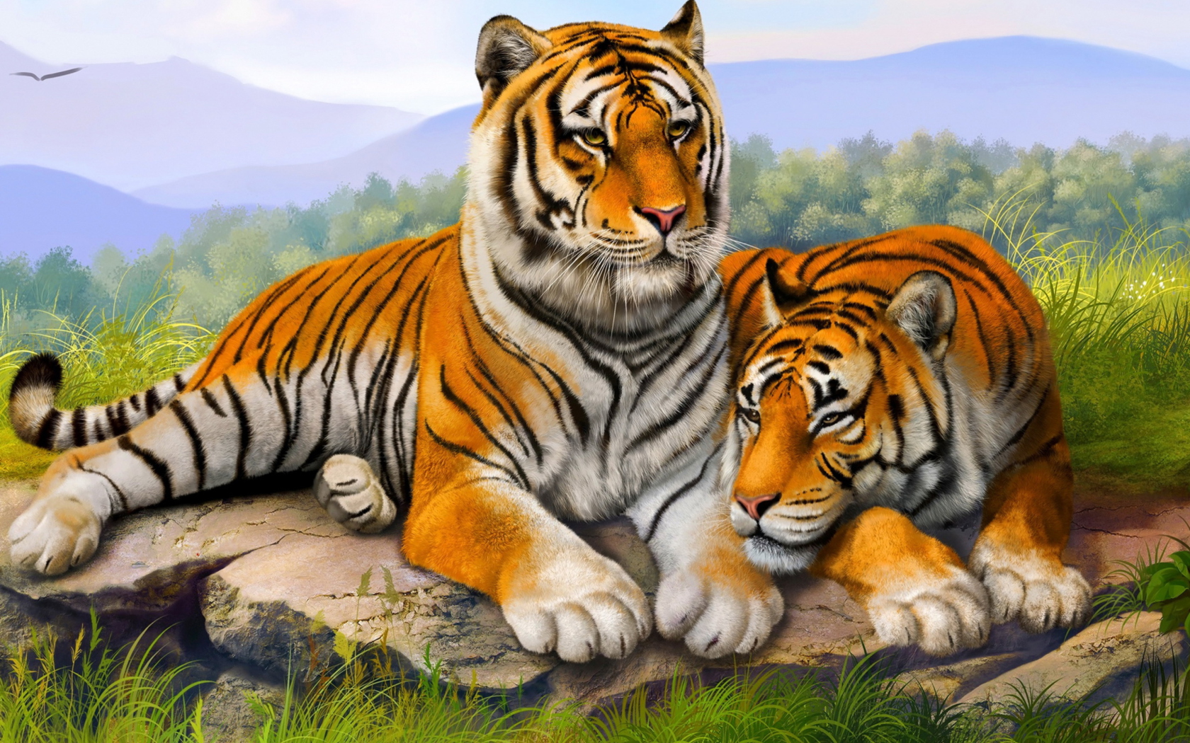 Sfondi Tiger Family 1680x1050