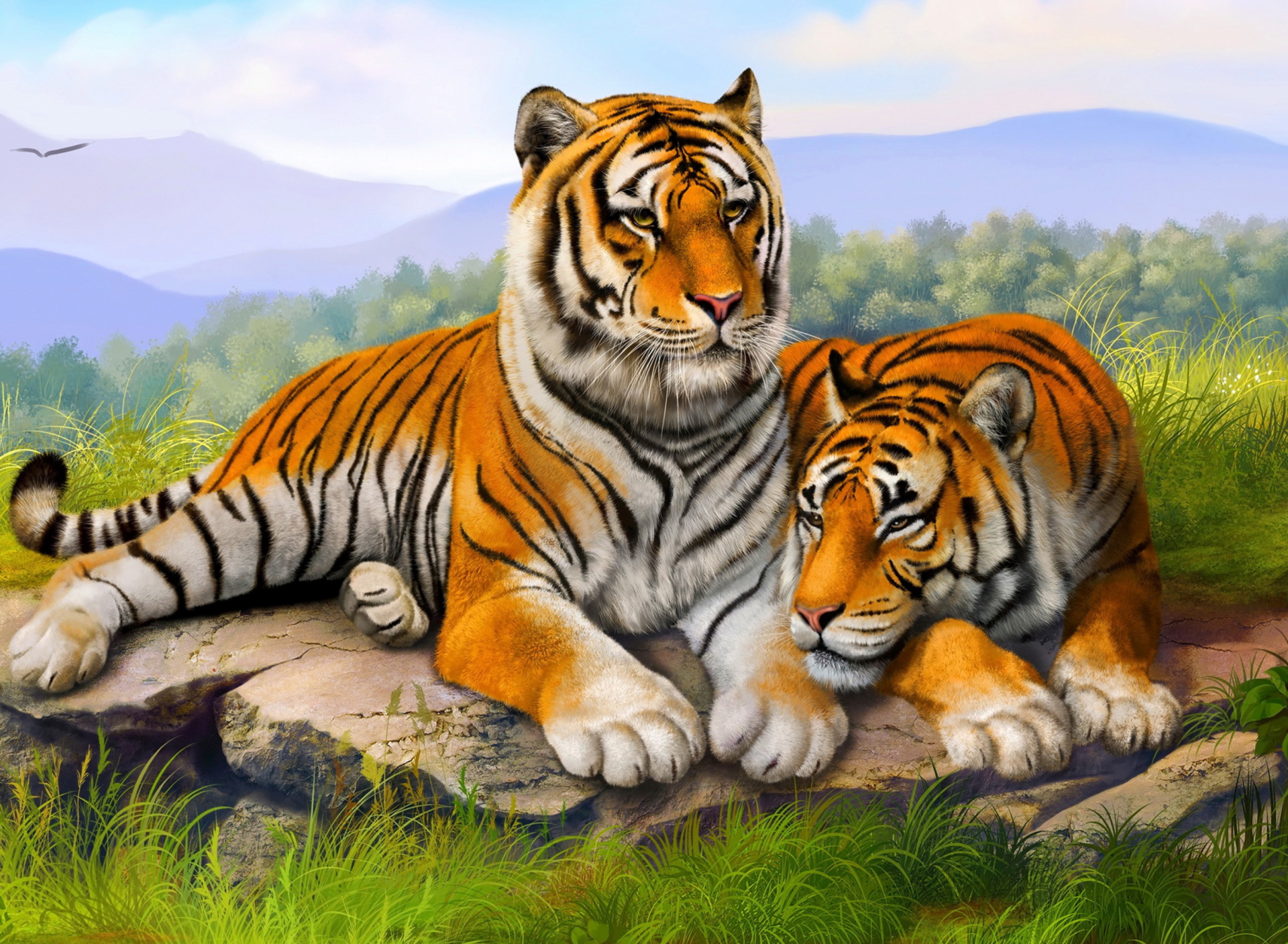 Обои Tiger Family 1920x1408