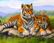 Обои Tiger Family 220x176