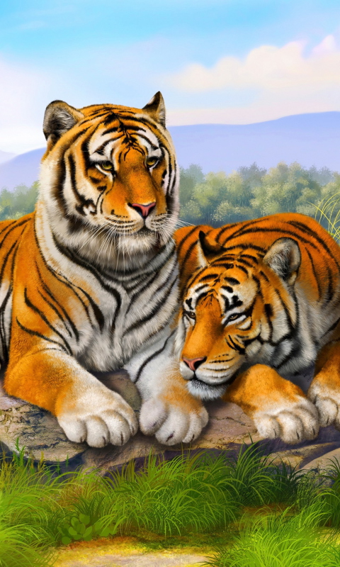 Tiger Family wallpaper 480x800