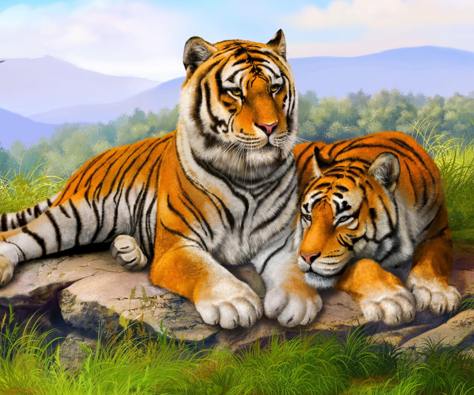 Tiger Family wallpaper 960x800