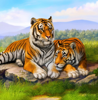 Kostenloses Tiger Family Wallpaper für Nokia 8800