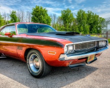 Dodge Challenger 1970 wallpaper 220x176