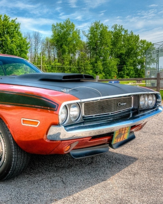 Dodge Challenger 1970 sfondi gratuiti per Nokia Lumia 800