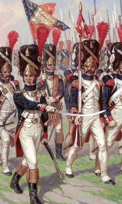 Das Napoleonic Wars Old Guard Wallpaper 240x400