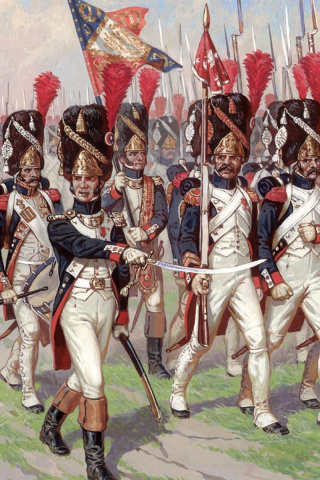 Sfondi Napoleonic Wars Old Guard 320x480