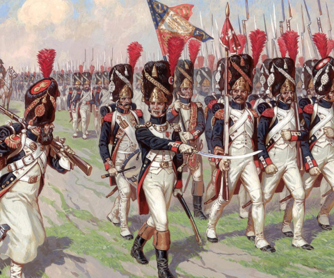 Napoleonic Wars Old Guard wallpaper 480x400