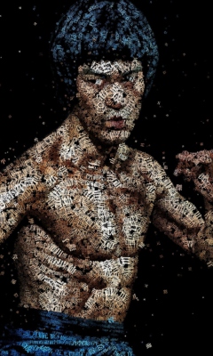 Bruce Lee Artistic Portrait screenshot #1 240x400