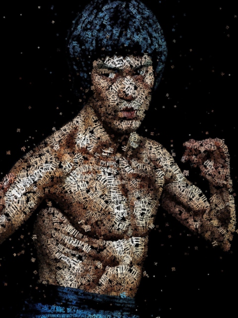 Обои Bruce Lee Artistic Portrait 480x640