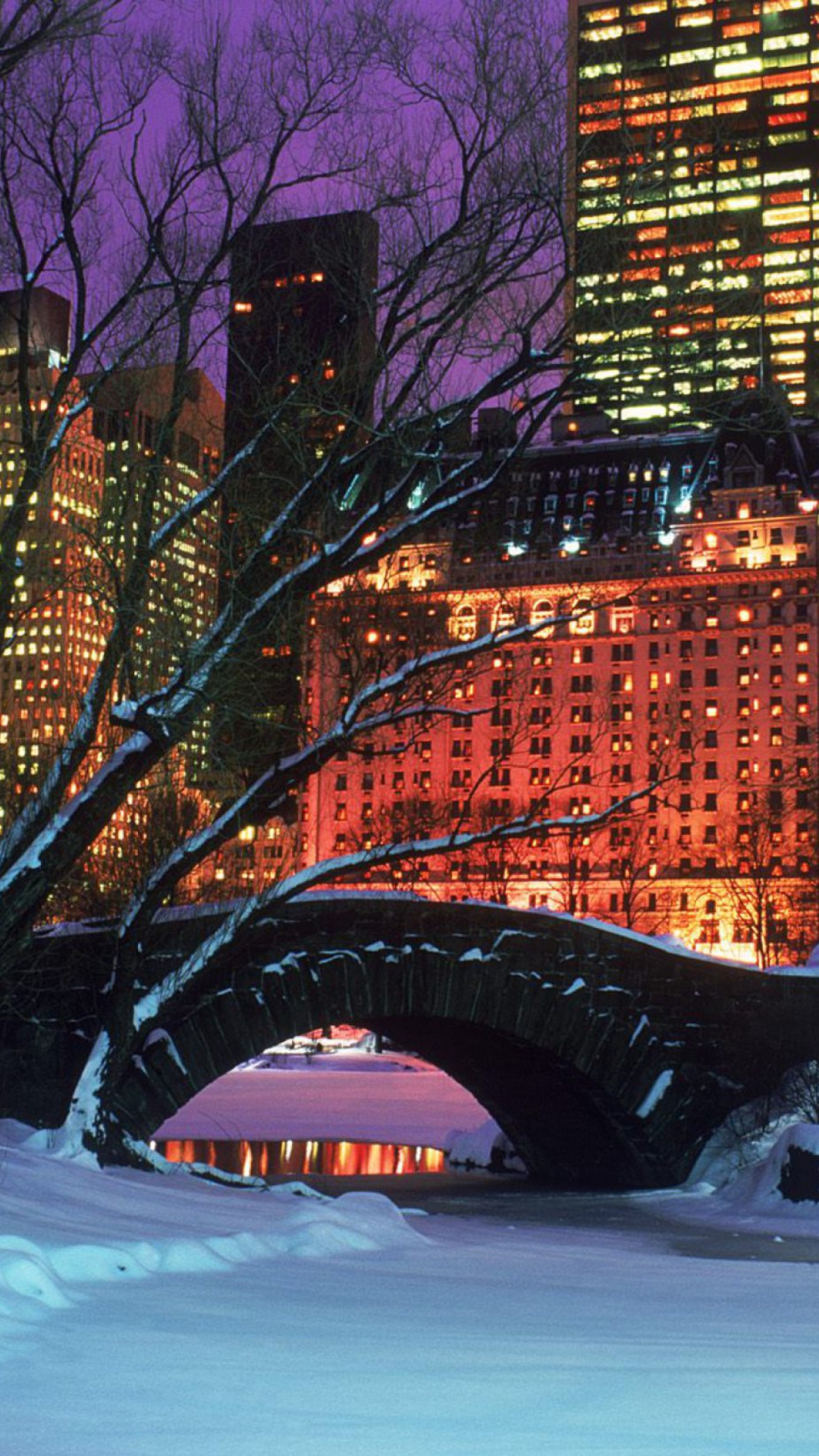 Das Central Park In Winter Wallpaper 1080x1920