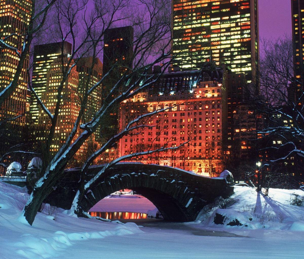 Sfondi Central Park In Winter 1200x1024