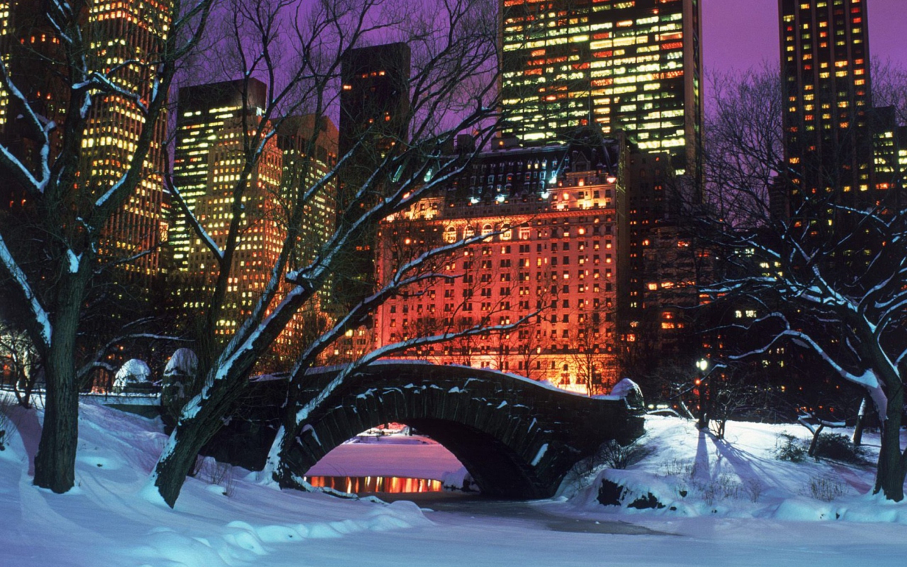 Sfondi Central Park In Winter 1280x800