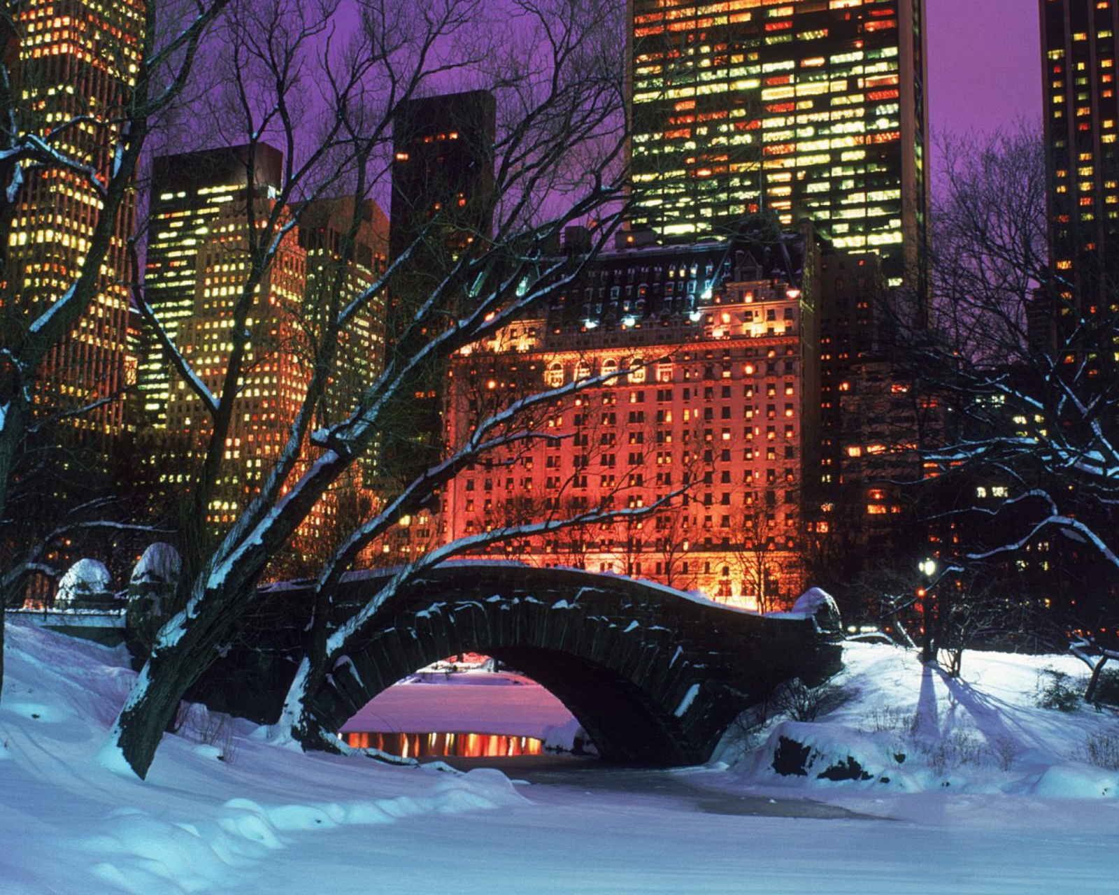 Das Central Park In Winter Wallpaper 1600x1280