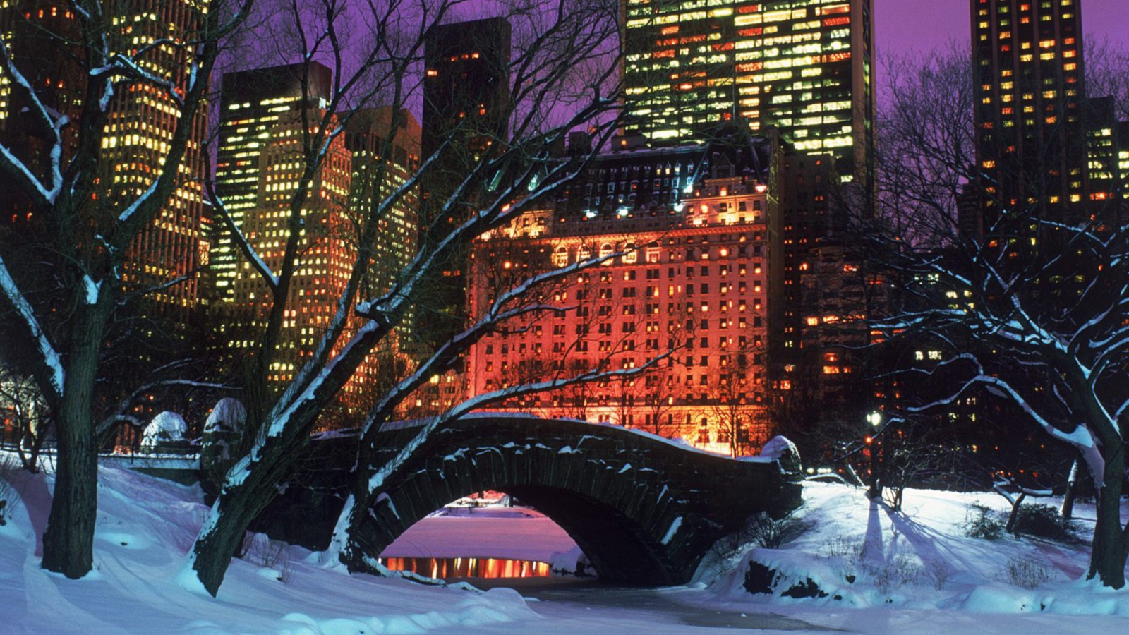 Fondo de pantalla Central Park In Winter 1600x900