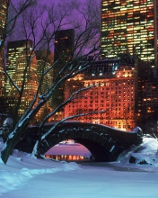 Central Park In Winter screenshot #1 176x220