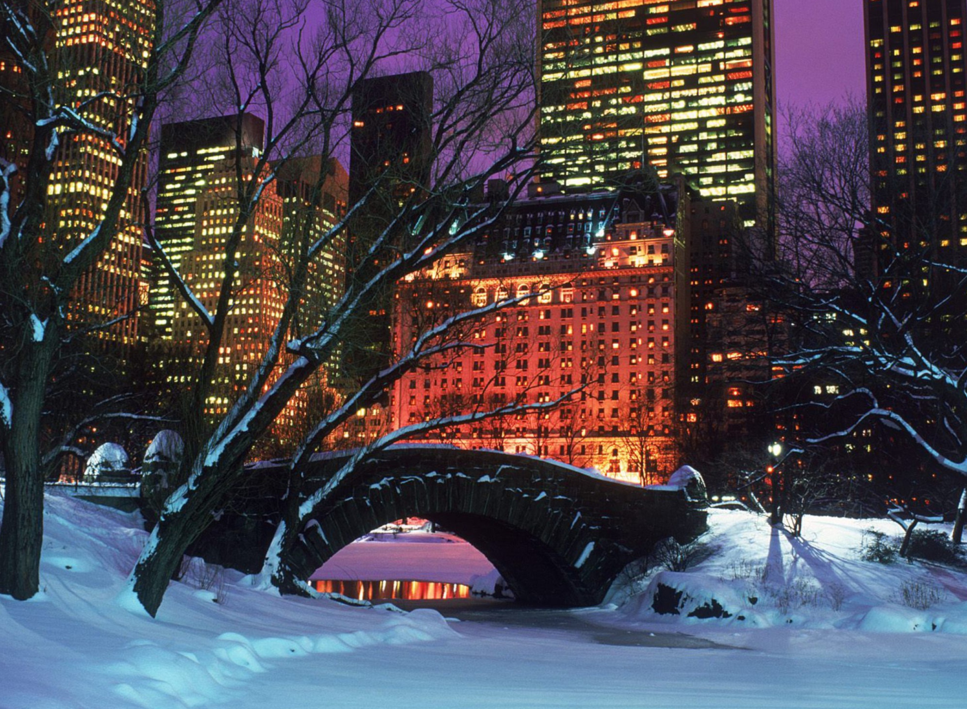 Sfondi Central Park In Winter 1920x1408