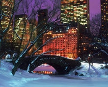 Screenshot №1 pro téma Central Park In Winter 220x176