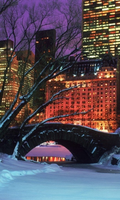 Das Central Park In Winter Wallpaper 240x400