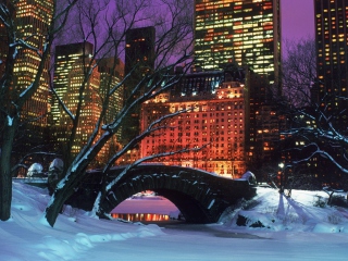 Das Central Park In Winter Wallpaper 320x240