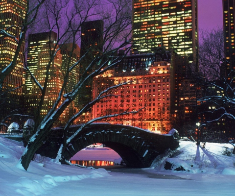 Das Central Park In Winter Wallpaper 480x400