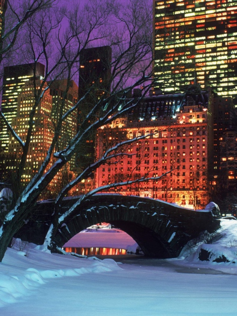 Central Park In Winter wallpaper 480x640