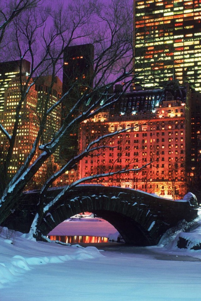 Central Park In Winter wallpaper 640x960