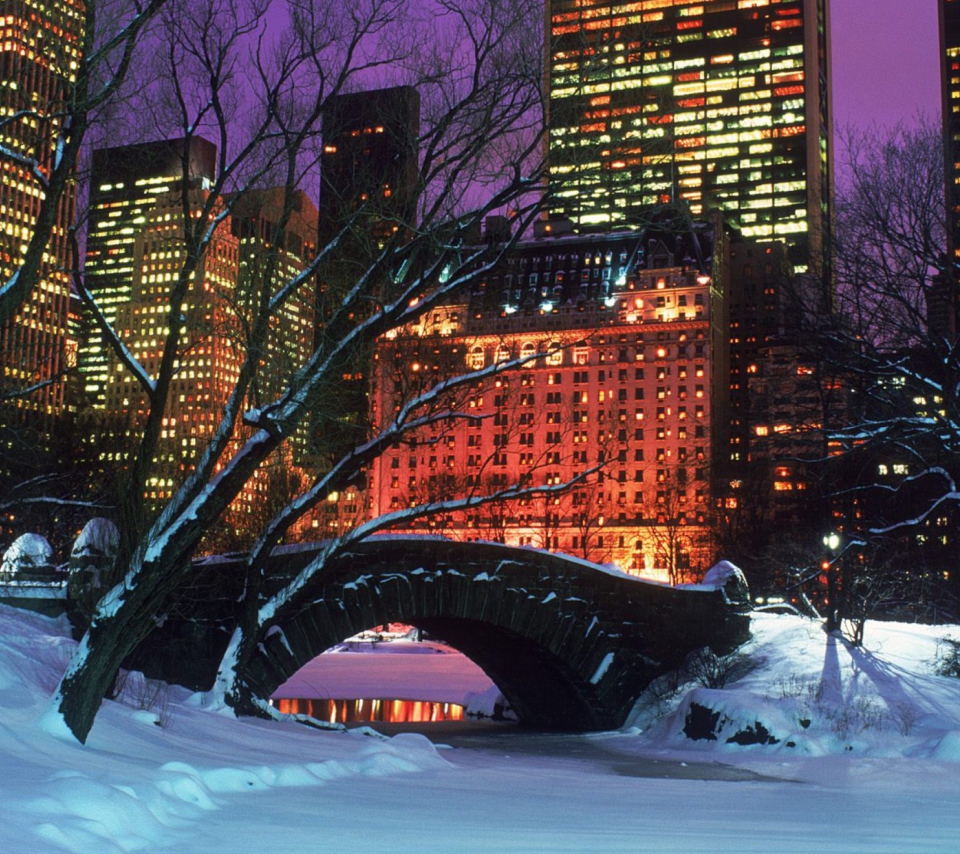 Das Central Park In Winter Wallpaper 960x854