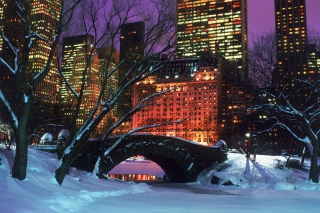 Kostenloses Central Park In Winter Wallpaper für Android, iPhone und iPad