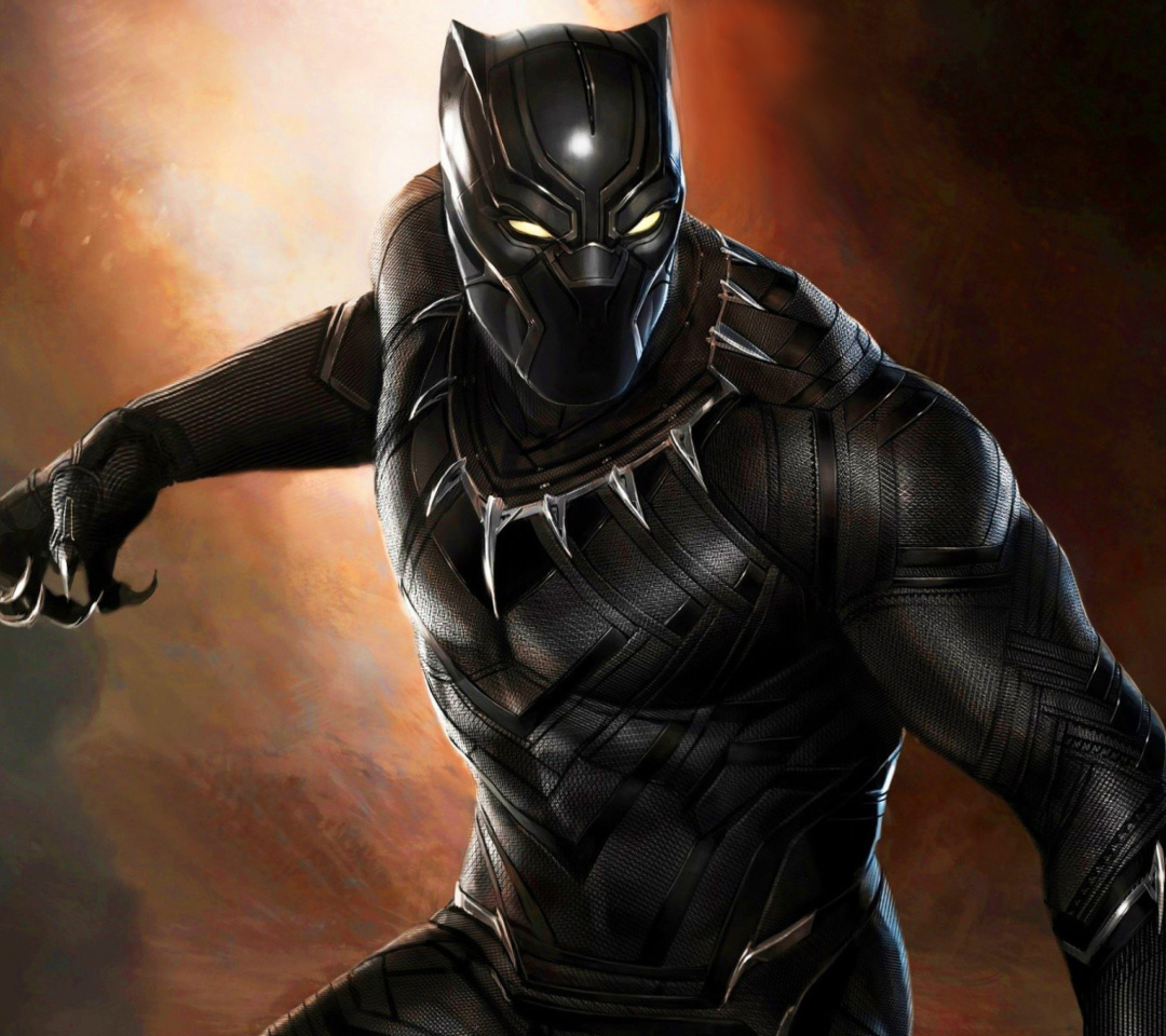 Обои Black Panther 2016 Movie 1080x960