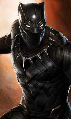 Fondo de pantalla Black Panther 2016 Movie 240x400