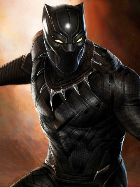 Das Black Panther 2016 Movie Wallpaper 480x640