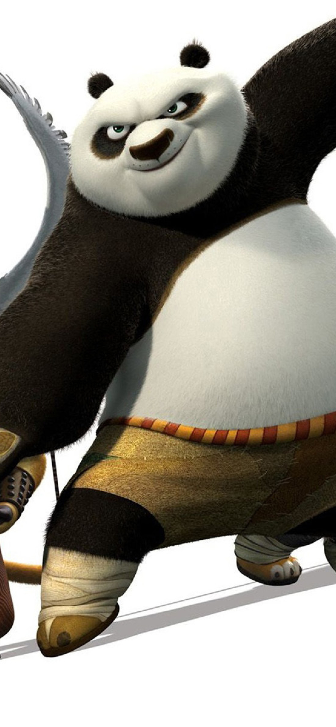 Kung Fu Panda 2 screenshot #1 1170x2532