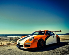 Das Orange Porsche 997 Wallpaper 220x176