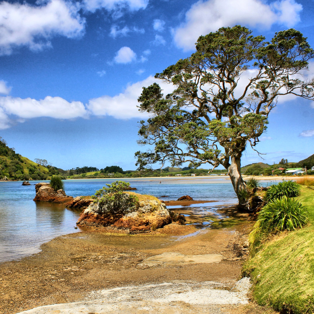 Fondo de pantalla African landscape on Lake Victoria 1024x1024