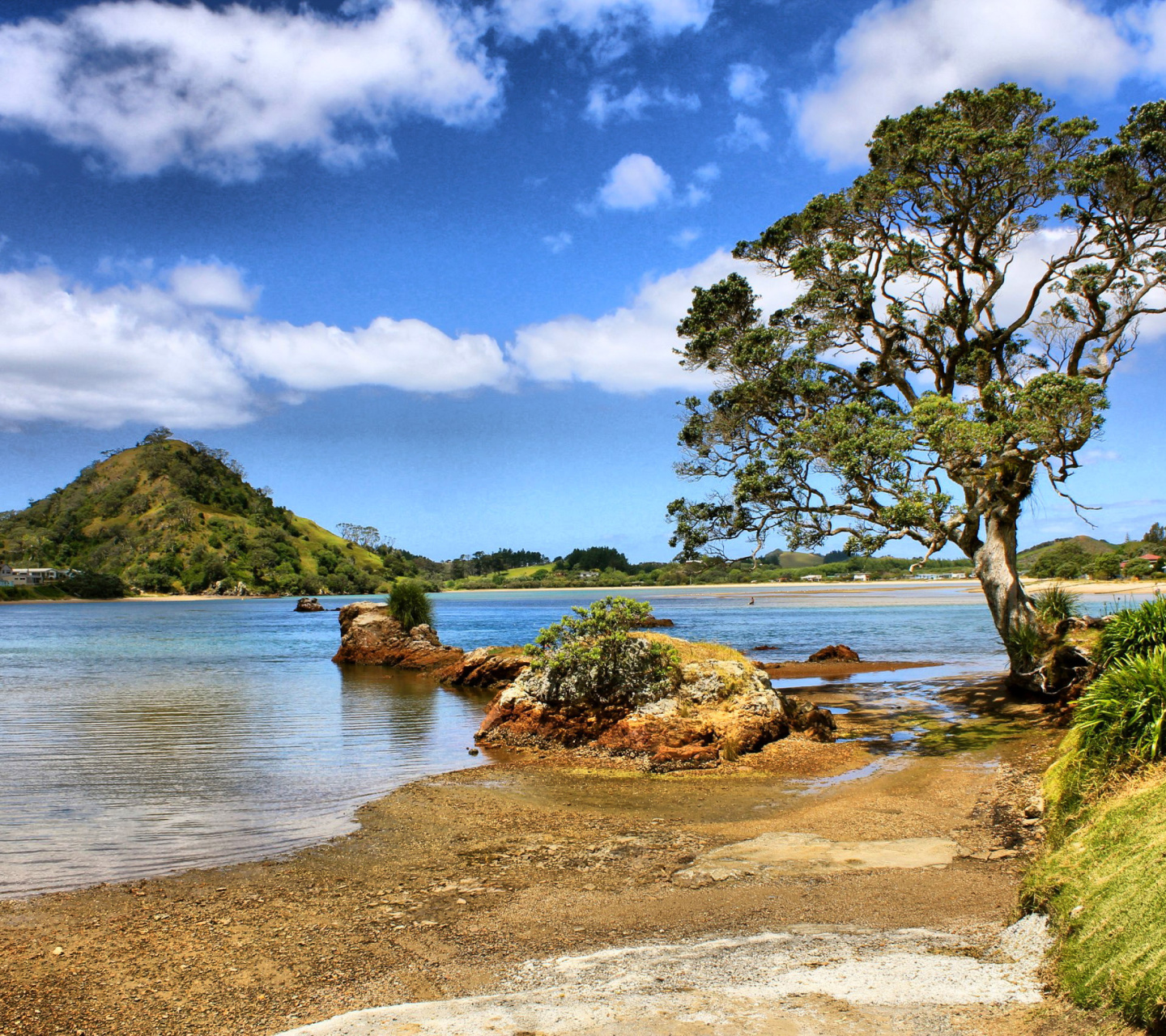 Das African landscape on Lake Victoria Wallpaper 1440x1280