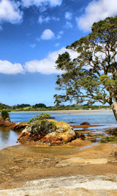 African landscape on Lake Victoria wallpaper 240x400