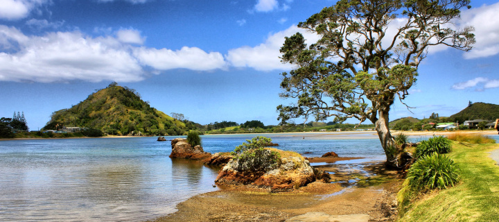 African landscape on Lake Victoria wallpaper 720x320