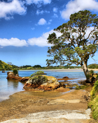 African landscape on Lake Victoria - Fondos de pantalla gratis para Nokia Lumia 1520