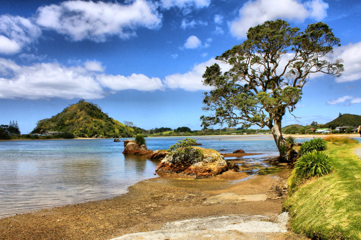 African landscape on Lake Victoria screenshot #1