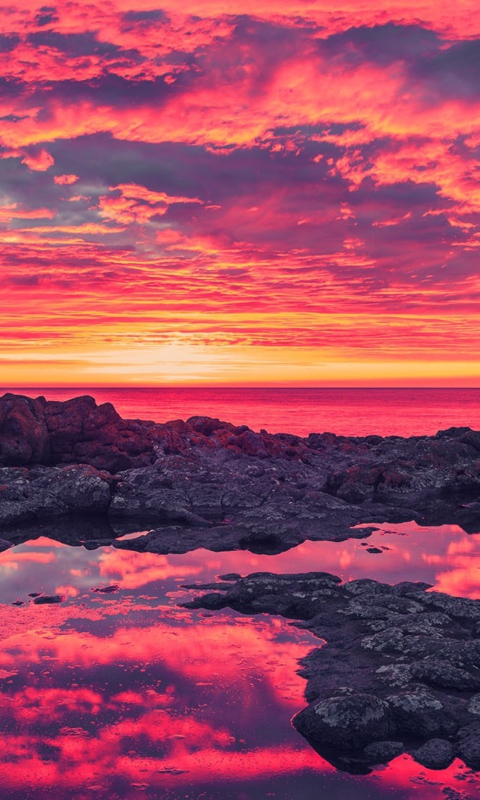 Das Breath Taking Sunset Coastline Wallpaper 480x800